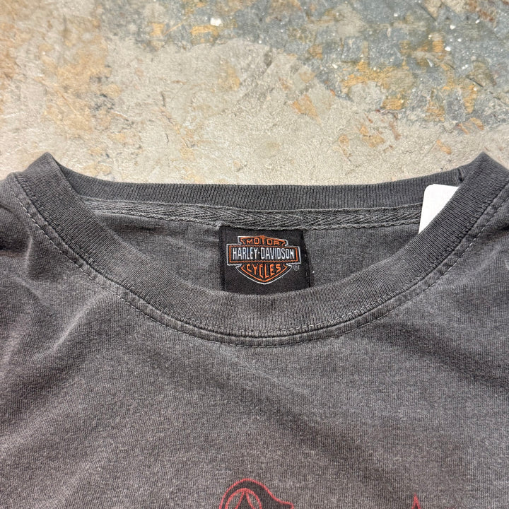 二手衣服Harley-Davidson/哈雷戴维森/长袖印花T恤/尺码L