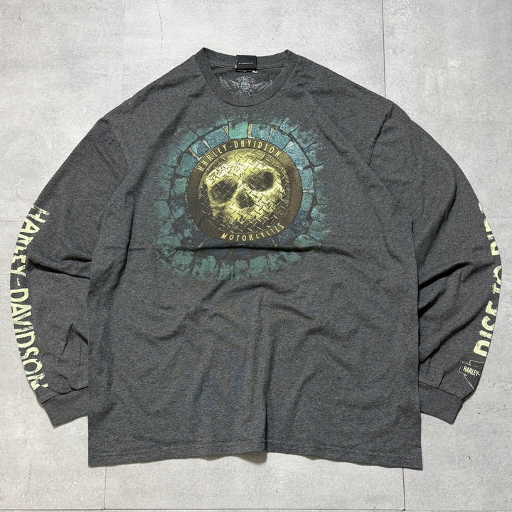 古着 Harley-Davidson/ハーレーダビッドソン/ ロングスリーブプリントTシャツ/サイズXL相当