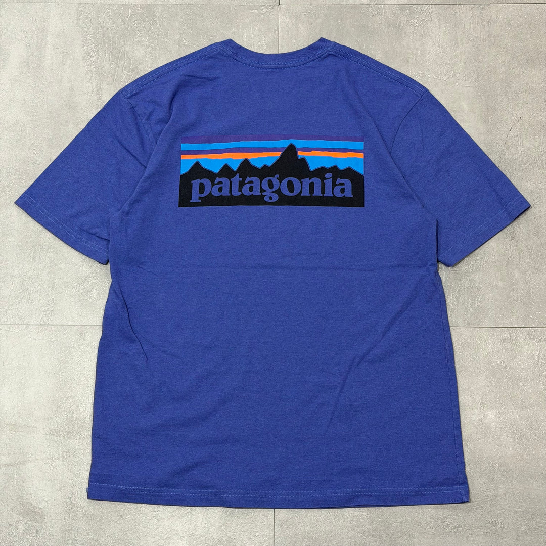 古着 Patagonia/ パタゴニア/ プリントTシャツ/ サイズM