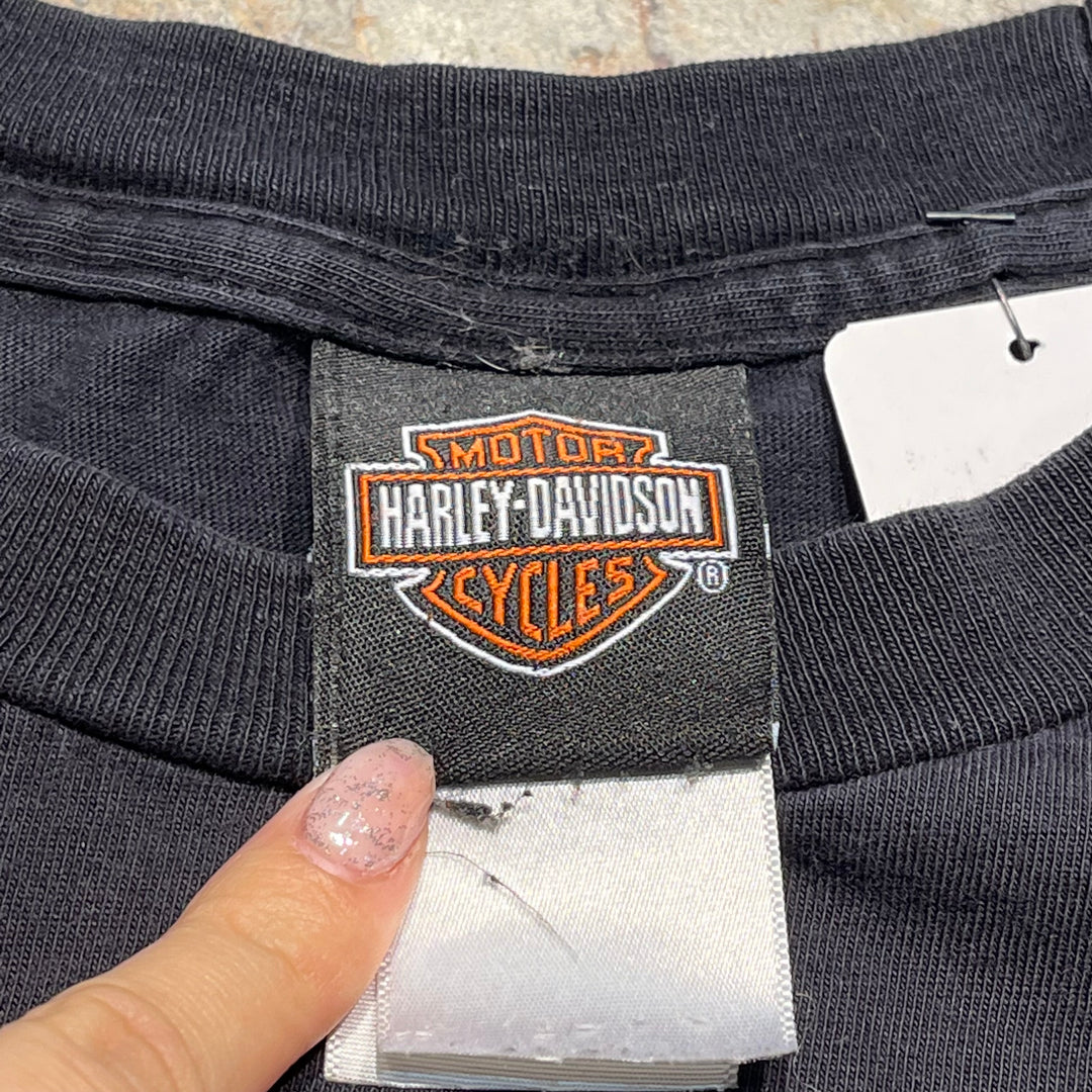 古着Harley-Davidson/ハーレー ダビッドソン/スキップフォーダイス/RIVERSIDE,CA/プリントTシャツ/サイズXL