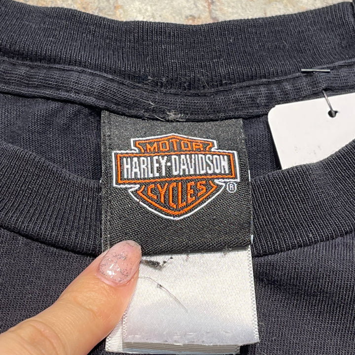 古着Harley-Davidson/ハーレー ダビッドソン/スキップフォーダイス/RIVERSIDE,CA/プリントTシャツ/サイズXL