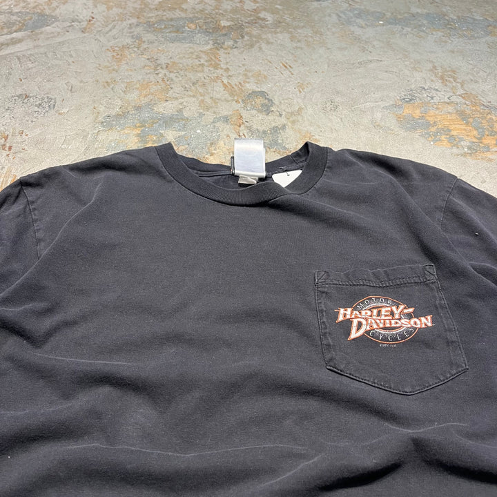 古着Harley-Davidson/ハーレー ダビッドソン/スキップフォーダイス/RIVERSIDE,CA/プリントTシャツ/サイズXL