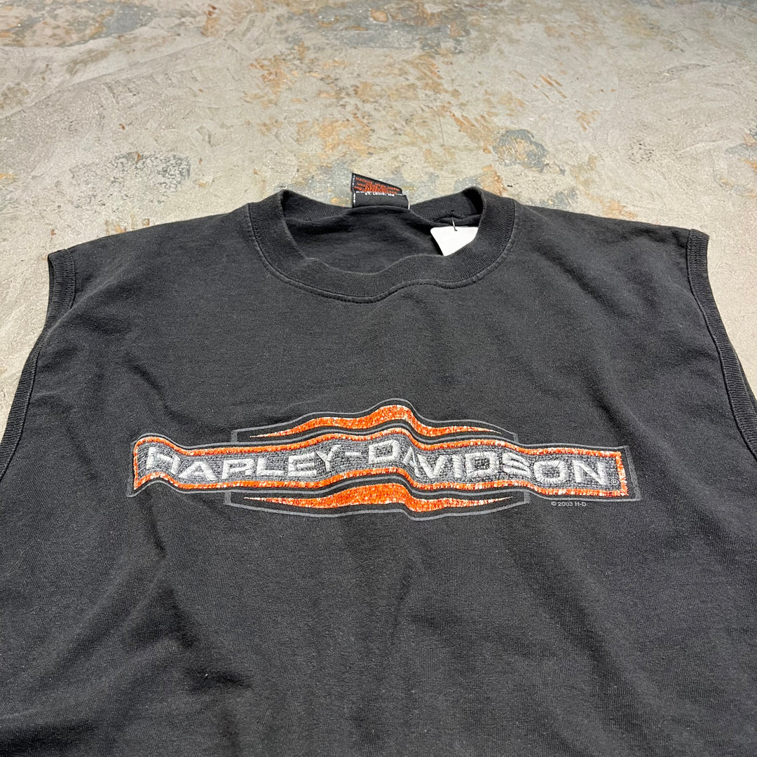 古着 USA製 Harley-Davidson/ハーレー ダビッドソン ミネソタ州 フェアリボー プリントTシャツ サイズL