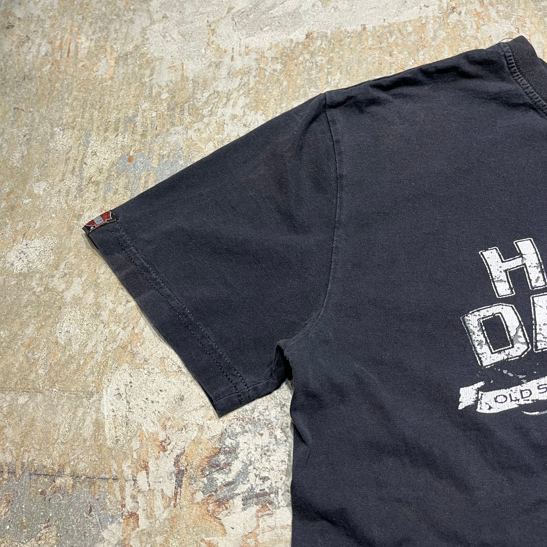 古着 Harley-Davidson/ハーレー ダビッドソン トルコ共和国 プリントTシャツ サイズL相当