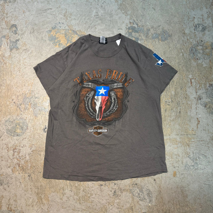 二手衣服Harley-Davidson/哈雷戴维森/印花T恤/尺码L