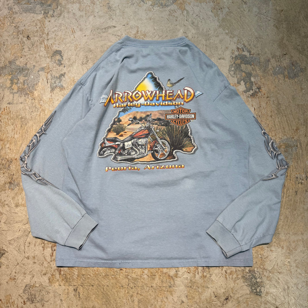 古着 Harley-Davidson/ハーレーダビッドソン/ プリントロングTシャツ/ サイズXL