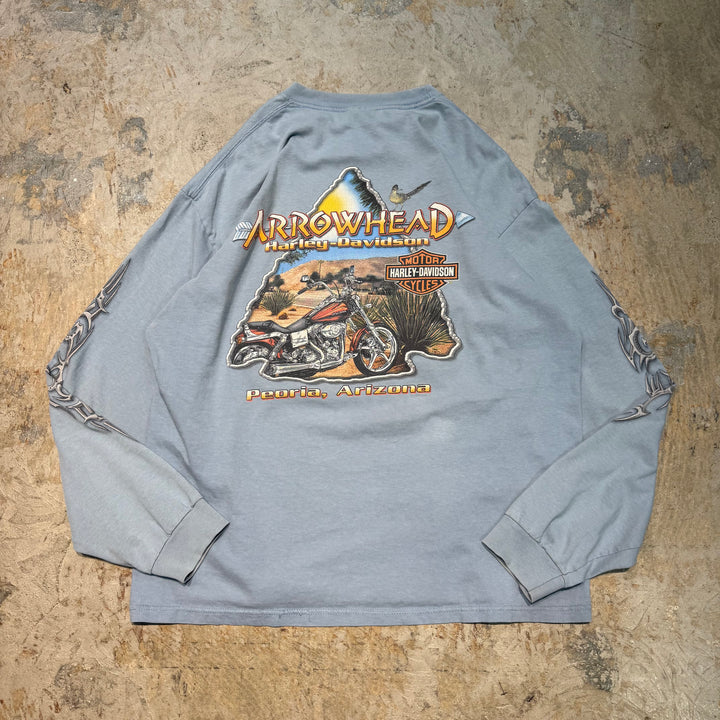 古着 Harley-Davidson/ハーレーダビッドソン/ プリントロングTシャツ/ サイズXL