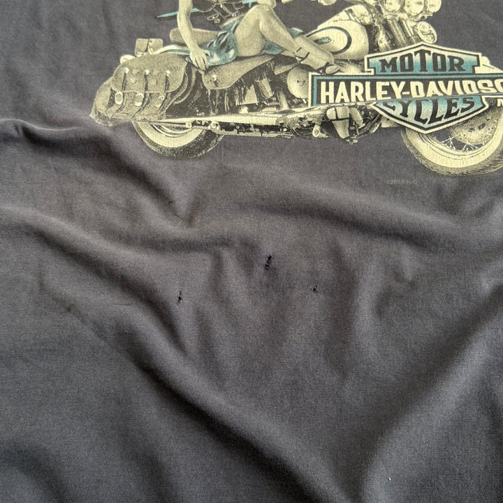 古着 Harley-Davidson/ハーレーダビッドソン/ プリントTシャツ/ サイズ2XL