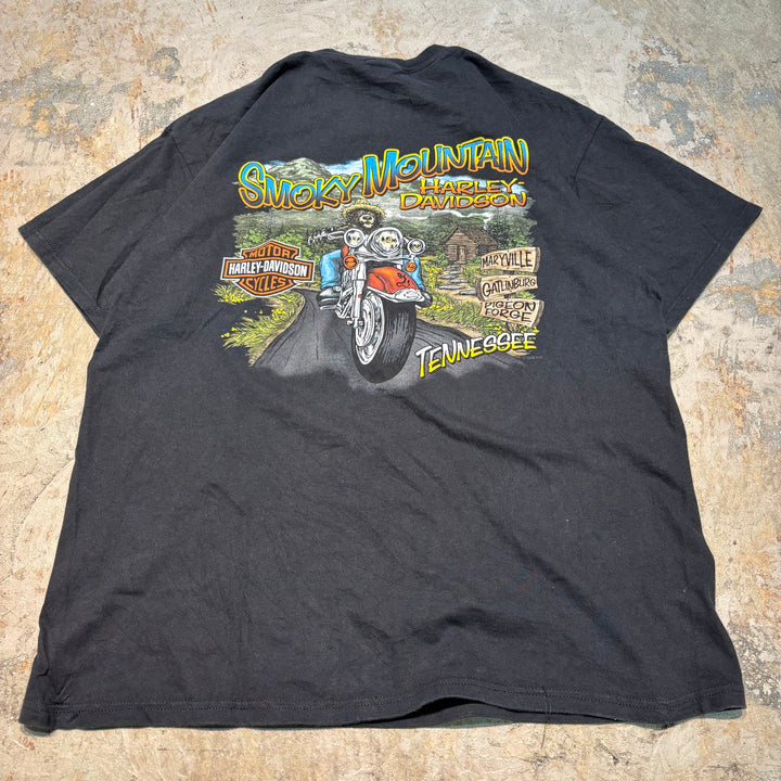 古着 Harley-Davidson/ハーレーダビッドソン/ プリントTシャツ/ サイズXL