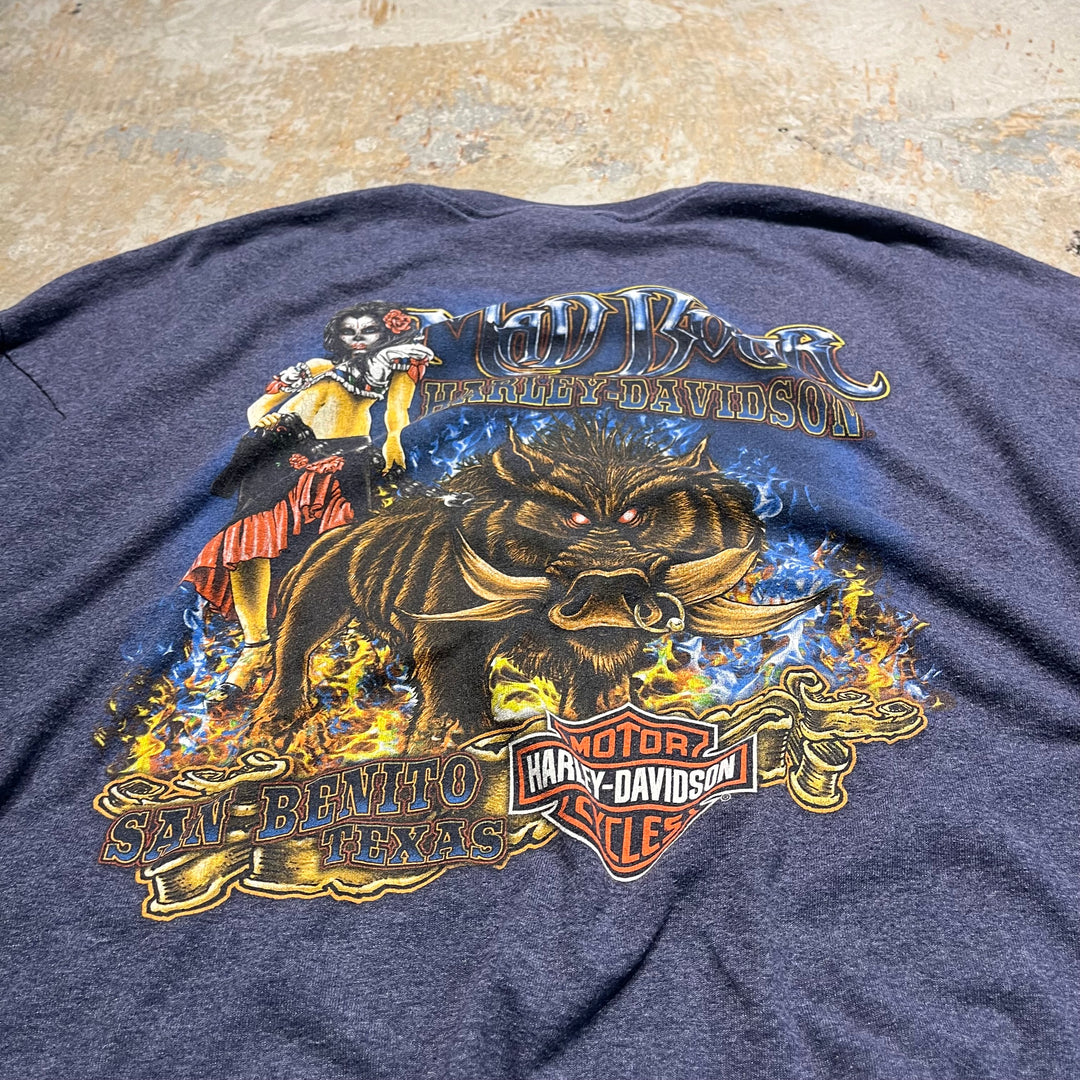 古着 Harley-Davidson/ハーレー ダビッドソン テキサス州 サン･ベニート /マッド ボア レストラン / プリントTシャツ サイズXXXL