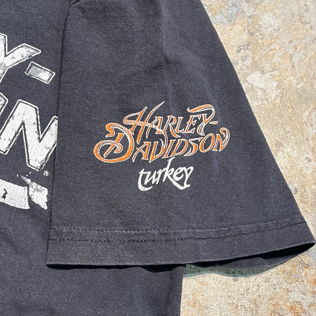 古着 Harley-Davidson/ハーレー ダビッドソン トルコ共和国 プリントTシャツ サイズL相当