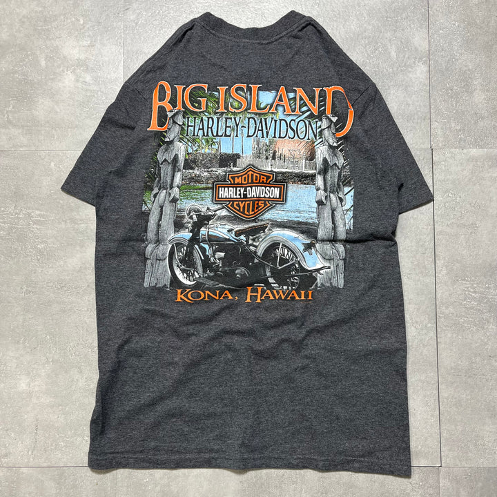 古着 Harley-Davidson/ハーレーダビッドソン/ プリントTシャツ/ サイズM