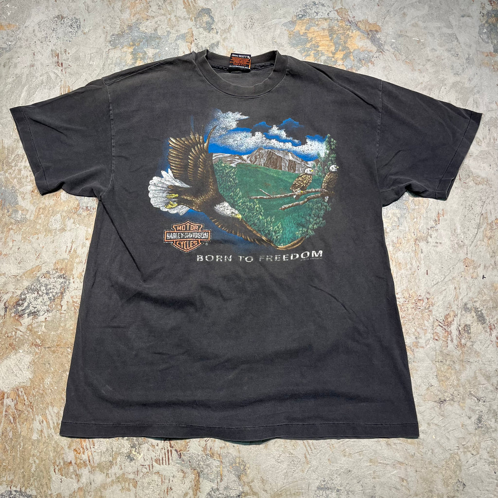 ハーレーダビッドソンTシャツエンジェル長瀬着ヴィンテージシングルステッチ ハーレーダビッドソンTシャツエンジェル長瀬着ヴィンテージ