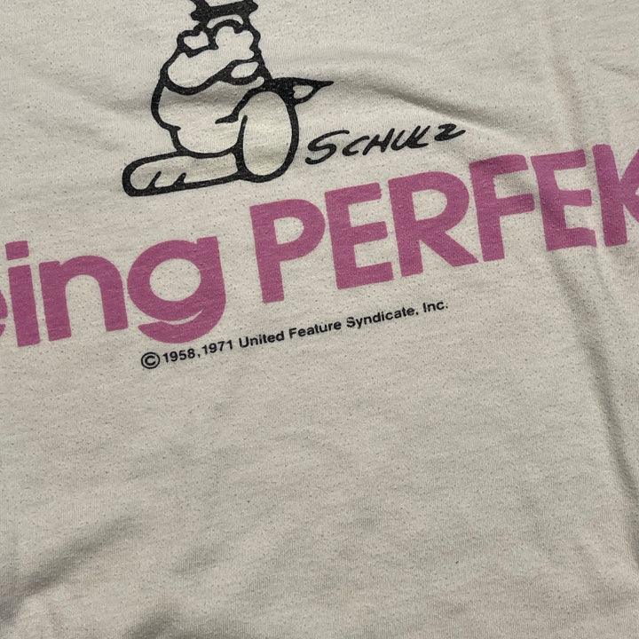 古着 ~80's USA製 USAVINTAGE/ PEANUTS / スヌーピー / 完璧であることは簡単ではない / キャラクターTシャツ / サイズM