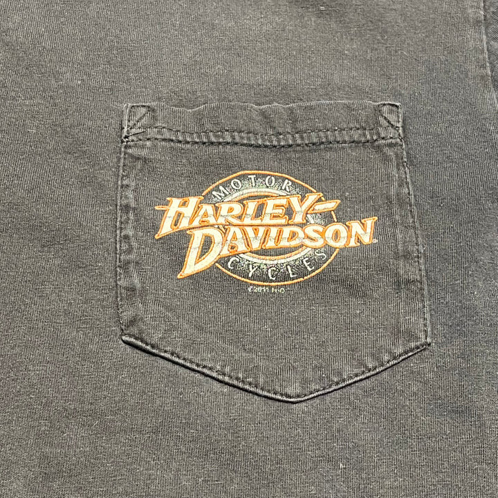 古着Harley-Davidson/ハーレー ダビッドソン/スキップフォーダイス/RIVERSIDE,CA/プリントTシャツ/サイズXL