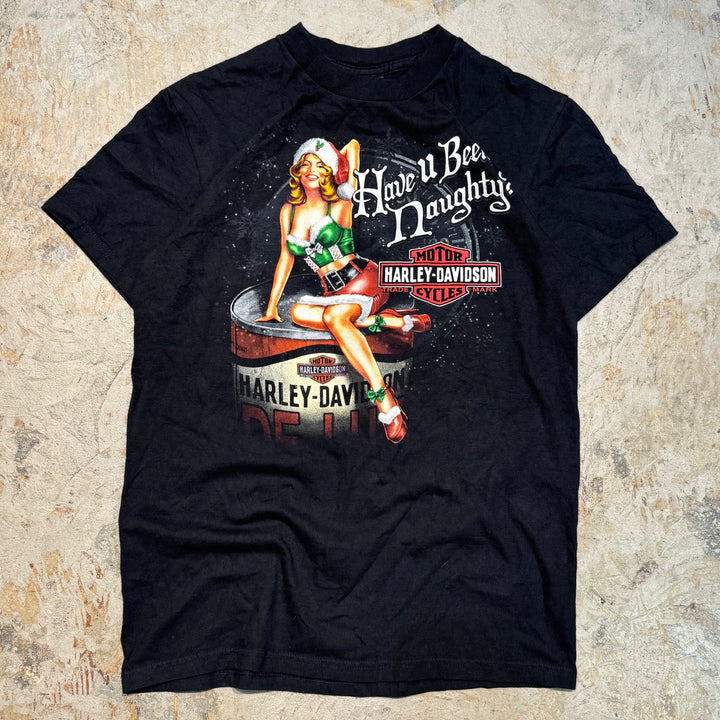 古着 Harley-Davidson/ハーレーダビッドソン/ プリントTシャツ/ サイズM