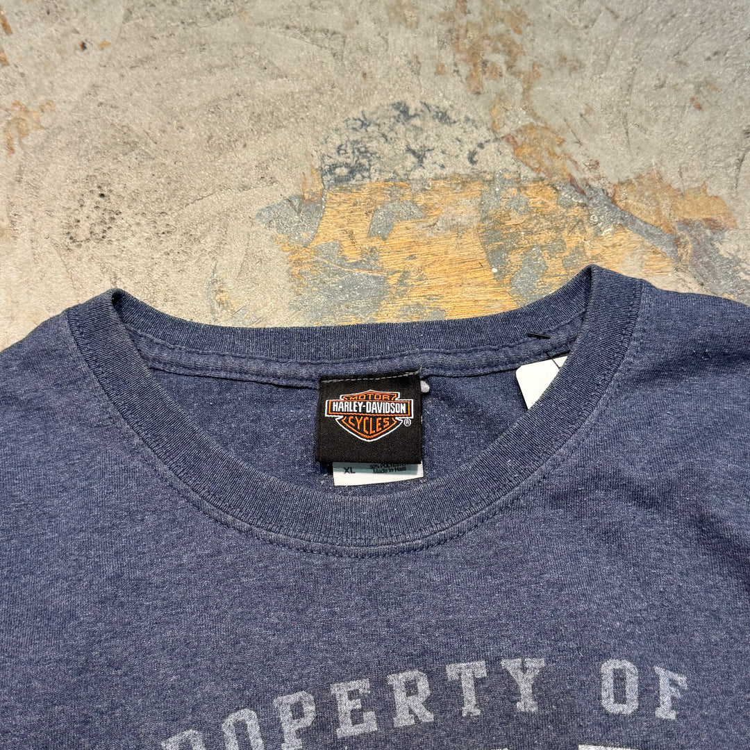 古着 Harley-Davidson/ハーレーダビッドソン/ プリントTシャツ/ サイズXL