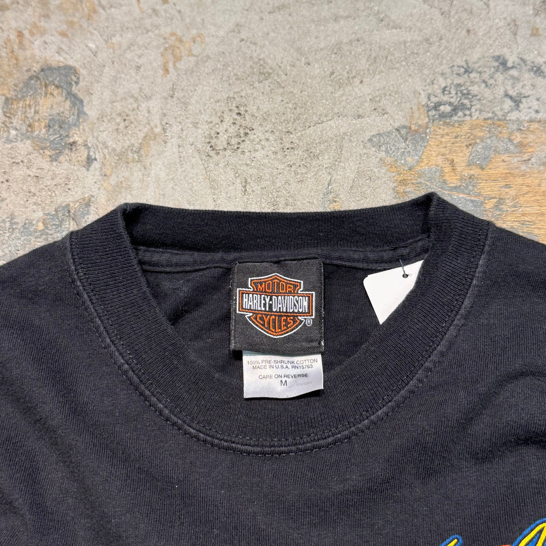 古着 USA製 Harley-Davidson/ハーレーダビッドソン/ プリントTシャツ/ サイズM