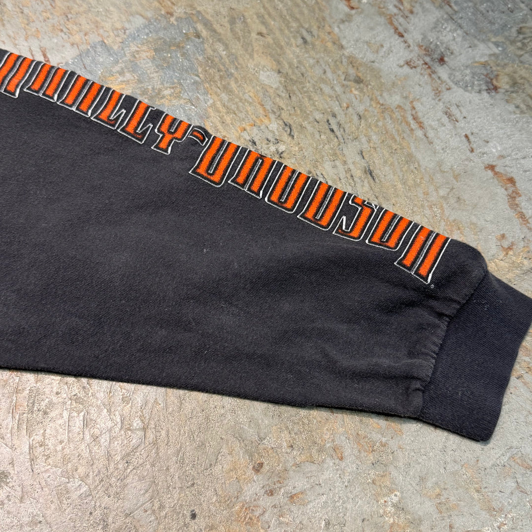 古着 Harley-Davidson/ハーレーダビッドソン/ プリントロングスリーブTシャツ/ サイズL相当