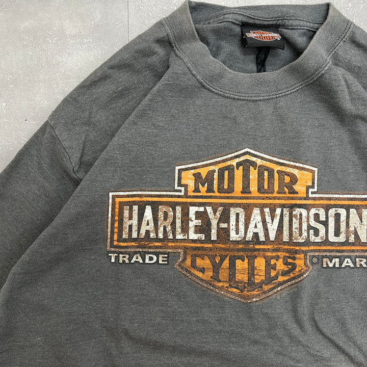 #726 21's Harley-Davidson/ハーレーダビッドソン Tee サイズL