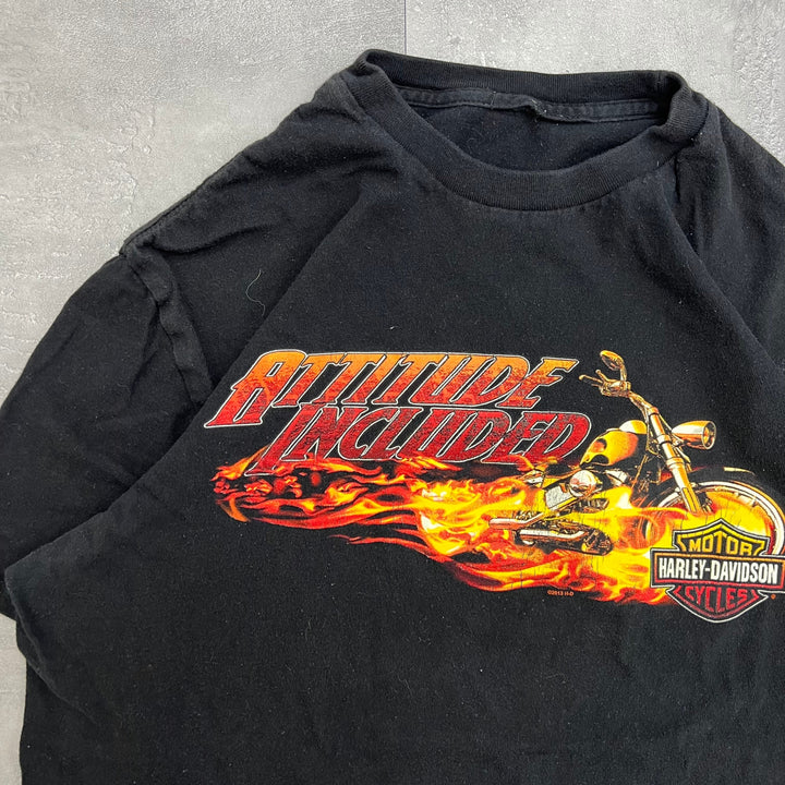 #720 13's Harley-Davidson/ハーレーダビッドソン Tee サイズL