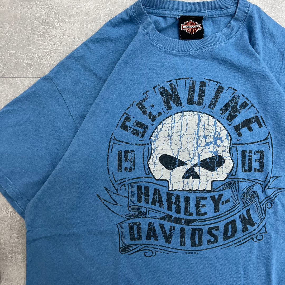 #735 19's Harley-Davidson/ハーレーダビッドソン Tee サイズXL