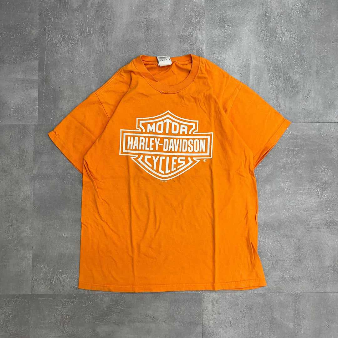 #769 10's Harley-Davidson/ハーレーダビッドソン Tee/Tシャツ MADE IN USA サイズL